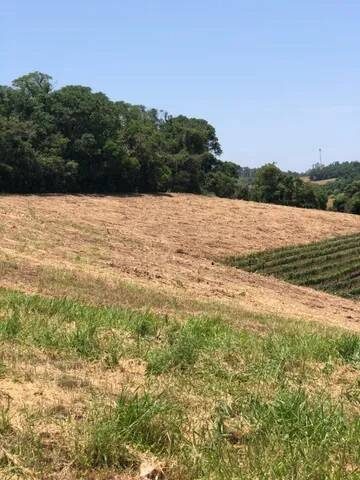 Terreno, 4 hectares - Foto 3