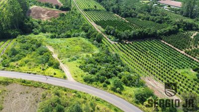Loteamento e Condomínio, 12 hectares - Foto 4