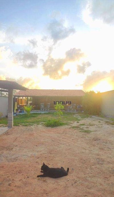 Casa de Condomínio, 2 quartos - Foto 4