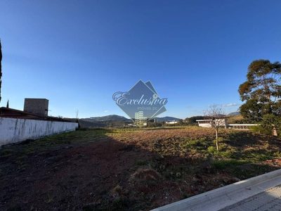Terreno, 2301 m² - Foto 3