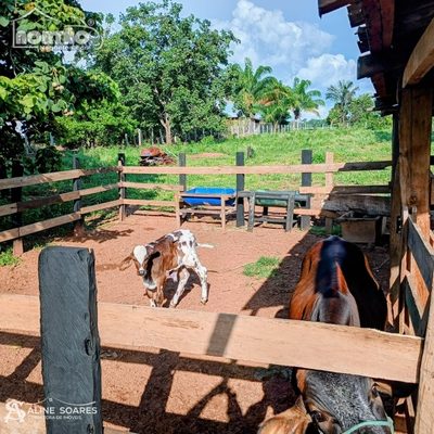 Casa, 2 quartos, 9000 m² - Foto 5