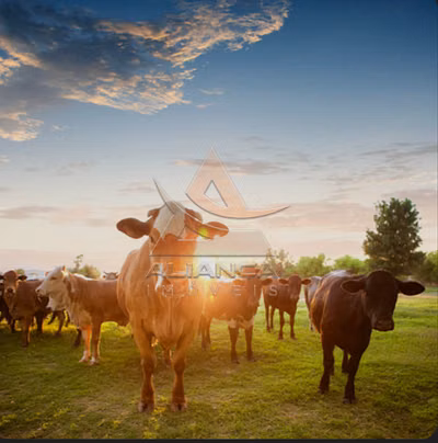 Fazenda, 348 hectares - Foto 1