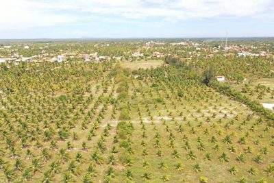 Terreno, 1000 m² - Foto 5