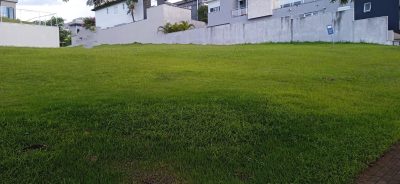 Terreno, 525 m² - Foto 2