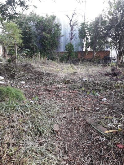 Terreno, 498 m² - Foto 4