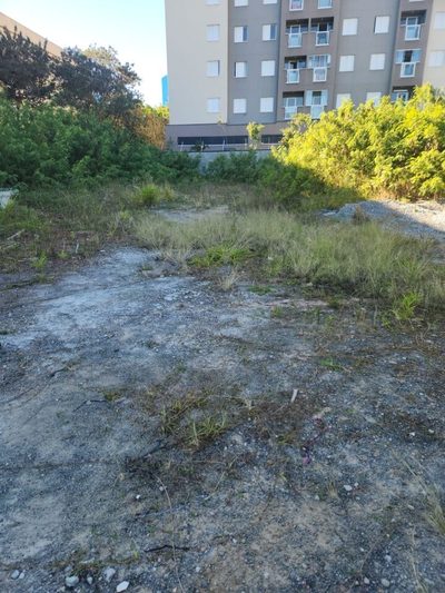 Terreno, 2500 m² - Foto 2