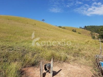 Sítio, 4 quartos, 150 m² - Foto 3