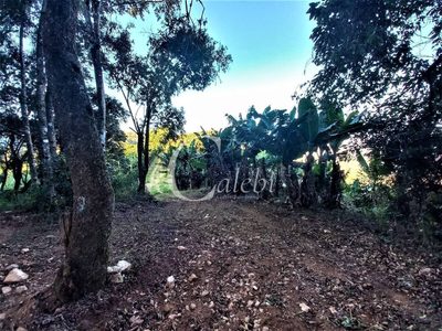Terreno, 8 hectares - Foto 3