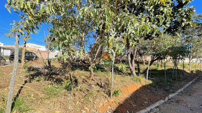 Terreno, 401 m² - Foto 5
