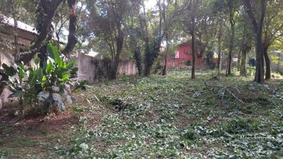 Terreno, 1000 m² - Foto 1