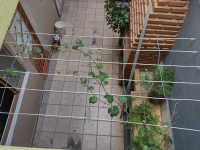 Sobrado, 3 quartos, 90 m² - Foto 2