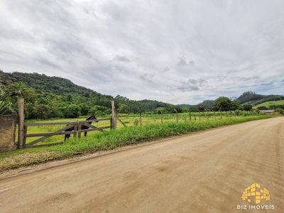 Terreno, 4 hectares - Foto 3