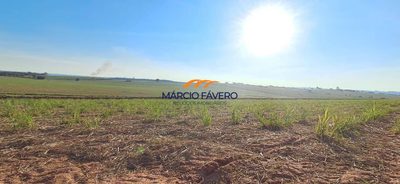 Fazenda, 501 hectares - Foto 2