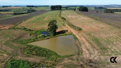 Sítio, 30 hectares - Foto 4