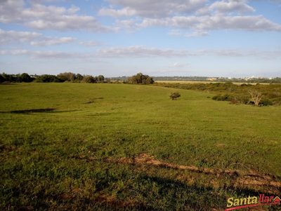 Fazenda, 24 hectares - Foto 3