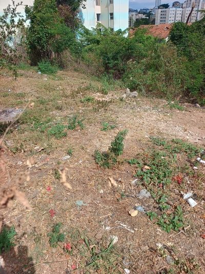 Terreno, 360 m² - Foto 4