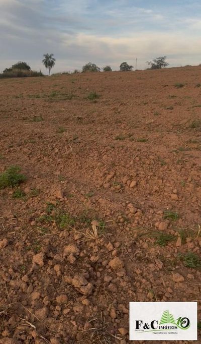 Terreno, 8 hectares - Foto 1