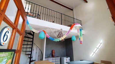 Sala-Conjunto, 514 m² - Foto 5