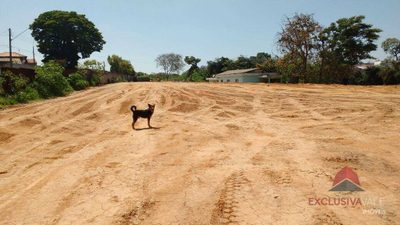 Terreno, 8 hectares - Foto 2