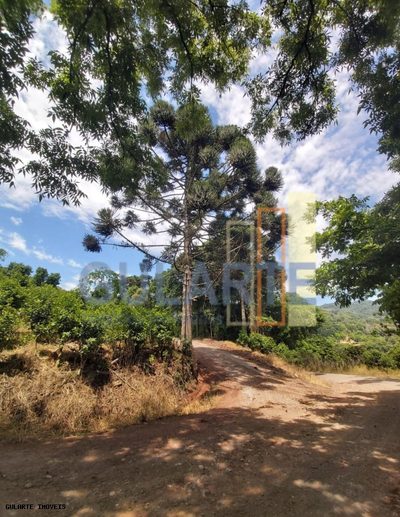 Terreno, 15 hectares - Foto 3