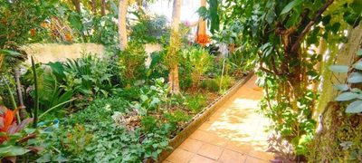 Casa, 3 quartos, 170 m² - Foto 5