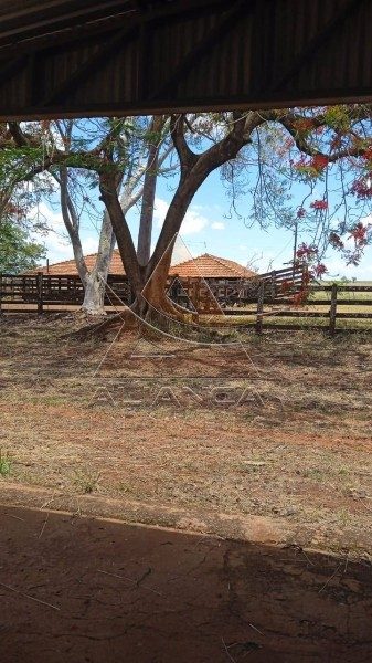 Fazenda, 540 hectares - Foto 4