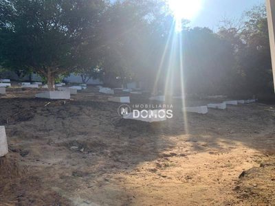 Chácara, 3 quartos, 5000 m² - Foto 5