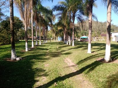 Sítio, 4 quartos, 10000 m² - Foto 3