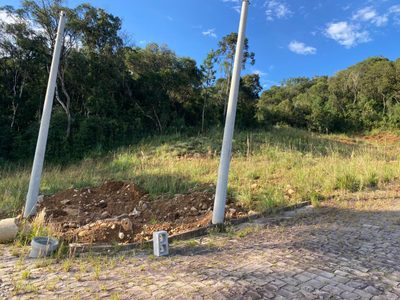 Terreno, 300 hectares - Foto 4