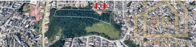 Terreno, 2 hectares - Foto 4