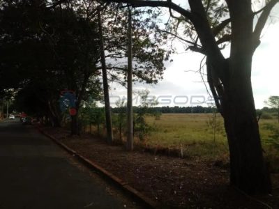 Terreno - Foto 4