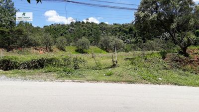 Terreno, 5000 m² - Foto 5