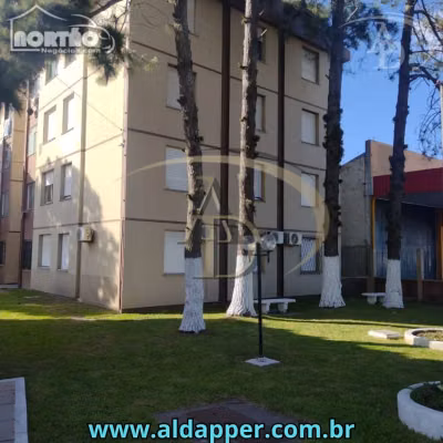 Casa, 2 quartos, 40 m² - Foto 1
