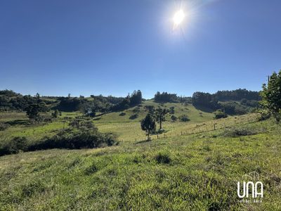 Sítio, 2 hectares - Foto 1
