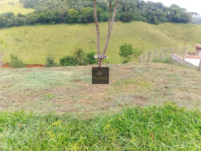 Terreno, 2500 m² - Foto 2
