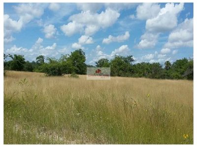 Fazenda, 7000 m² - Foto 1