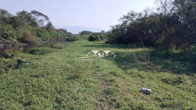 Sítio, 3 quartos, 50 hectares - Foto 3