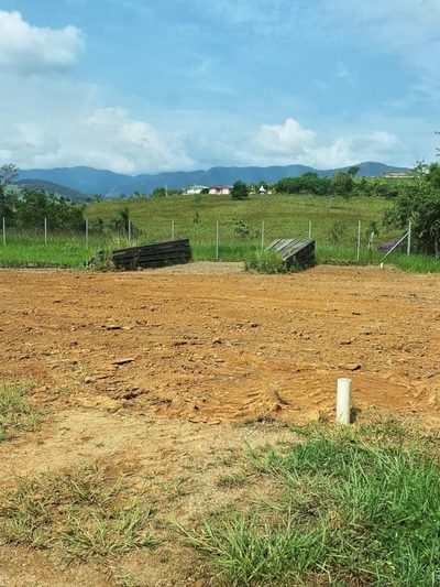 Terreno, 374 m² - Foto 4