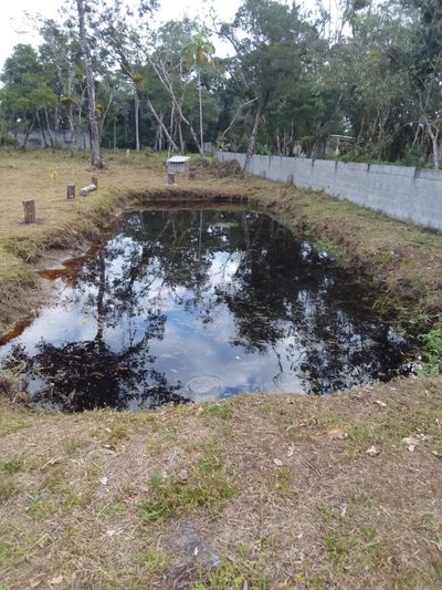 Fazenda, 2500 m² - Foto 5