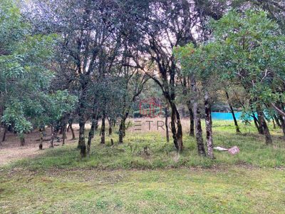 Loteamento e Condomínio, 931 m² - Foto 3
