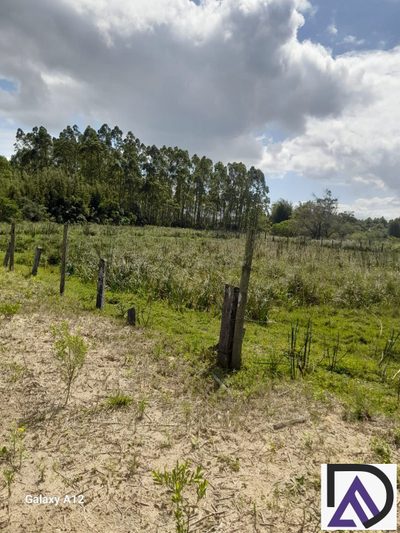 Chácara, 10000 m² - Foto 4