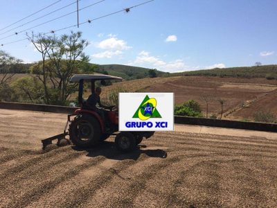 Fazenda, 581 hectares - Foto 3