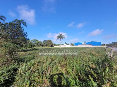Terreno, 5138 m² - Foto 3