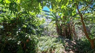 Terreno, 2 m² - Foto 1