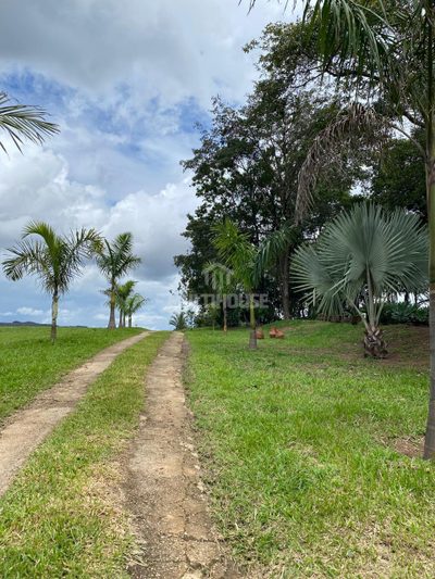 Fazenda, 1 quarto - Foto 2
