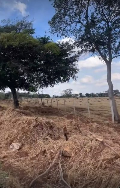 Chácara, 2 quartos - Foto 3