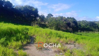 Terreno, 8500 m² - Foto 4