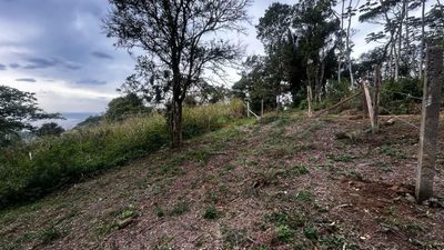 Terreno, 386 m² - Foto 4