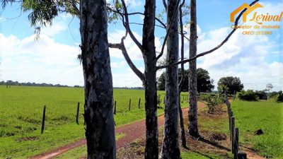 Fazenda, 247 hectares - Foto 4