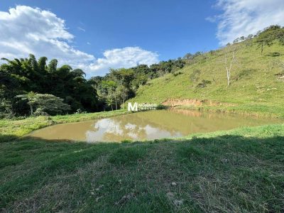 Fazenda, 106 hectares - Foto 4